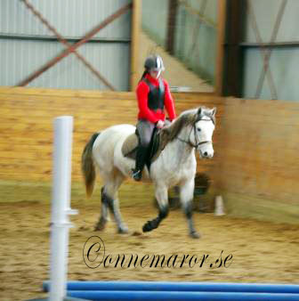 Evelina & Jero, VRF, feb 2013