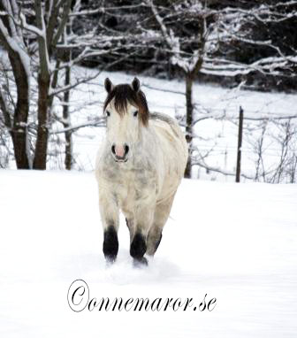 Jero 16 jan 2013